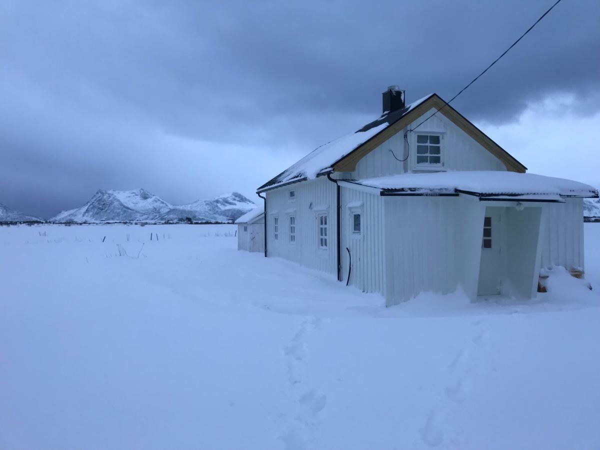 Narnia Lodge Lofoten Gimsoy Esterno foto