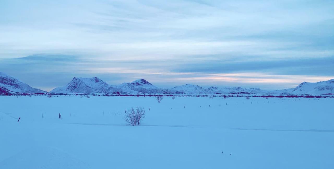 Narnia Lodge Lofoten Gimsoy Esterno foto