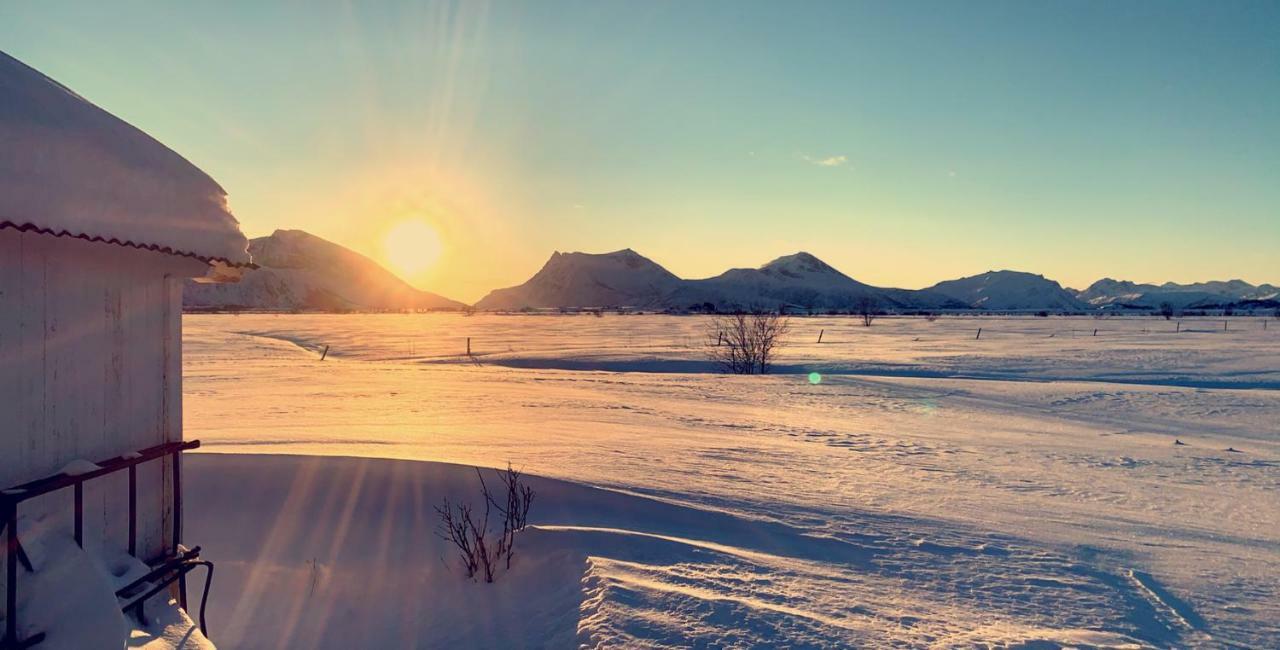 Narnia Lodge Lofoten Gimsoy Esterno foto