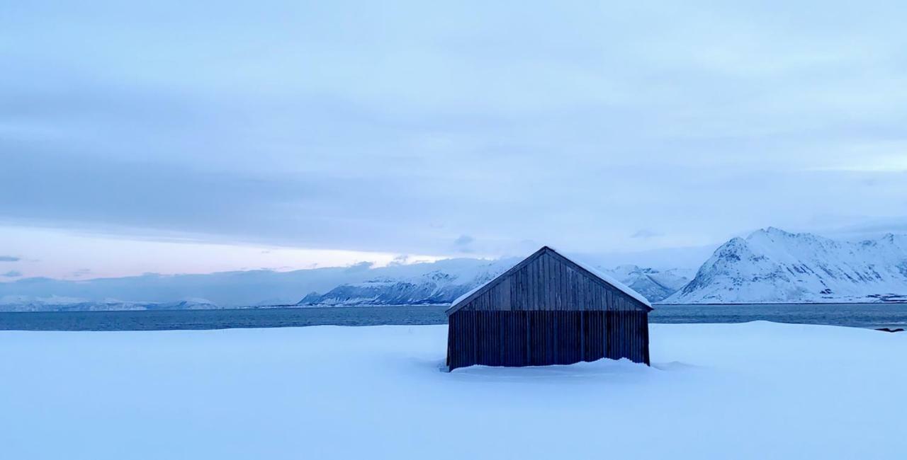 Narnia Lodge Lofoten Gimsoy Esterno foto