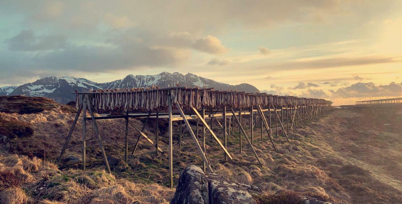 Narnia Lodge Lofoten Gimsoy Esterno foto